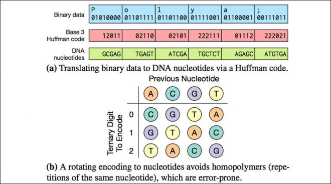 Technicolor DNA