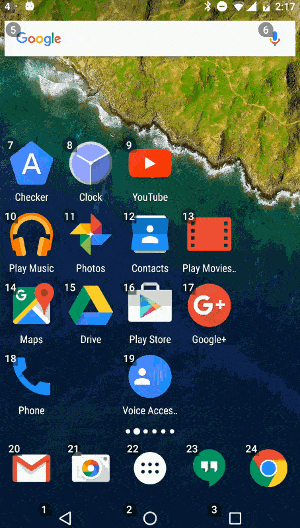 google-voice-access-demo-anim