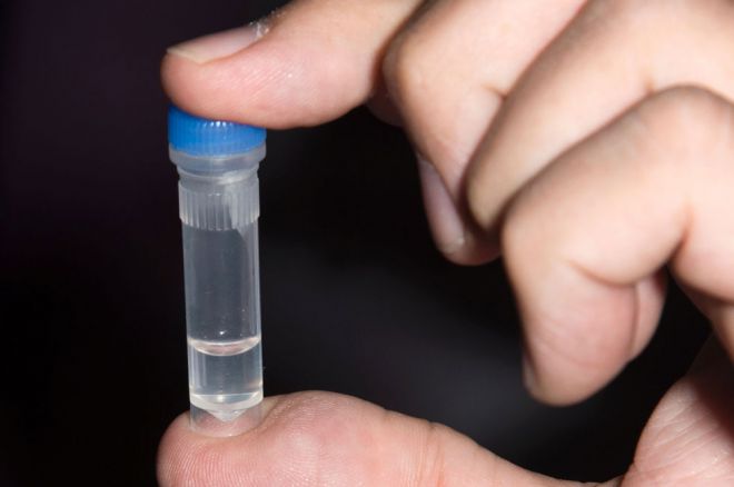 Technicolor archivia un film usando il DNA