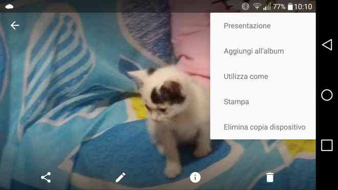 google foto slideshow