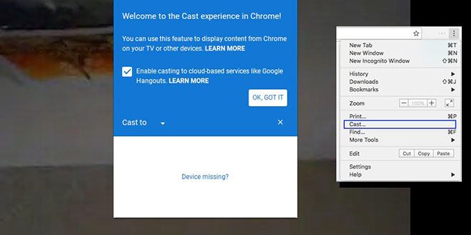 Google Cast su Google Chrome