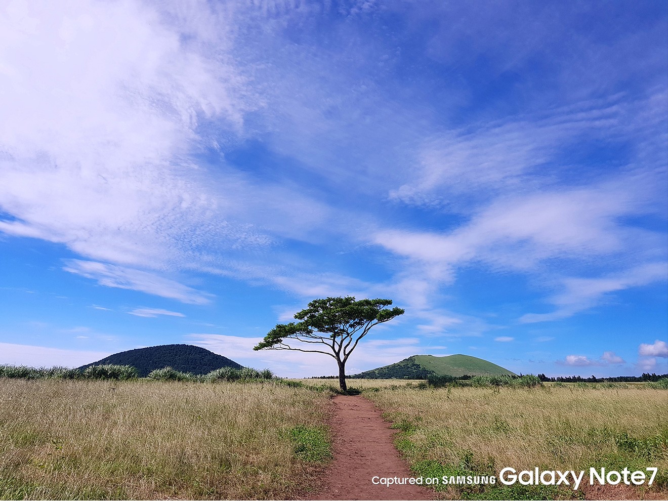 Galaxy Note 7 immagini fotocamera 6