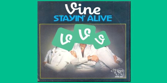 Vine non chiude e si trasforma in Vine Camera