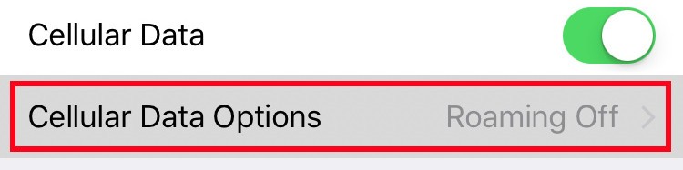 opzioni dati cellulare