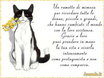 festa della donna 2019 festa della donna 2019