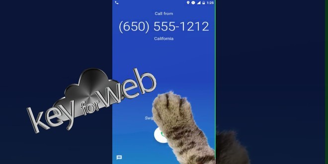 Zampa di Google Telefono, come attivare la modalità segreta