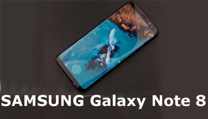 Samsung Galaxy Note 8 ha problemi di luminosità nella zona dove risiede il lettore di impronte digitali
