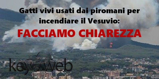 Gatti vivi usati dai piromani per incendiare il Vesuvio, facciamo chiarezza