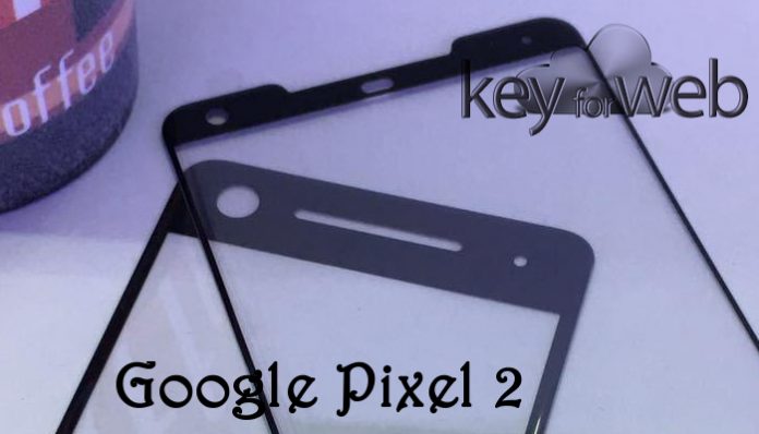 Google Pixel 2 non ha più segreti, ecco i proteggi schermo che ne svelano il design