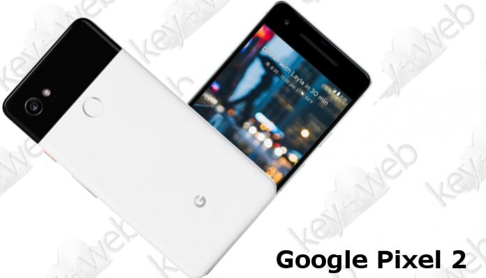 Google Pixel 2 e Google Pixel XL 2 ufficialmente presentati: immagini, specifiche e data di uscita