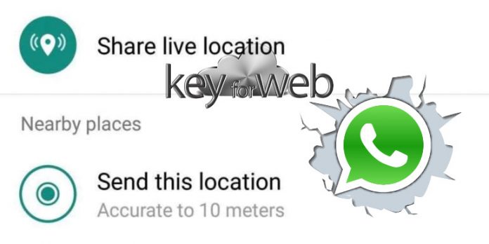 WhatsApp, in arrivo la condivisione della propria posizione in tempo reale