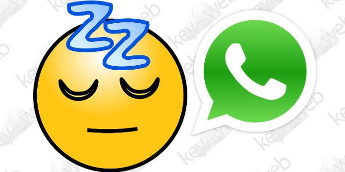 WhatsApp può mostrare quanto dormiamo e con chi chattiamo
