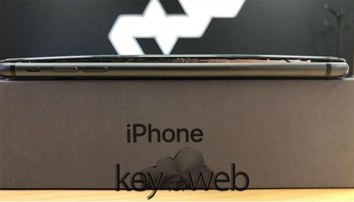 iPhone 8 Plus, altri casi di batterie difettose in Canada