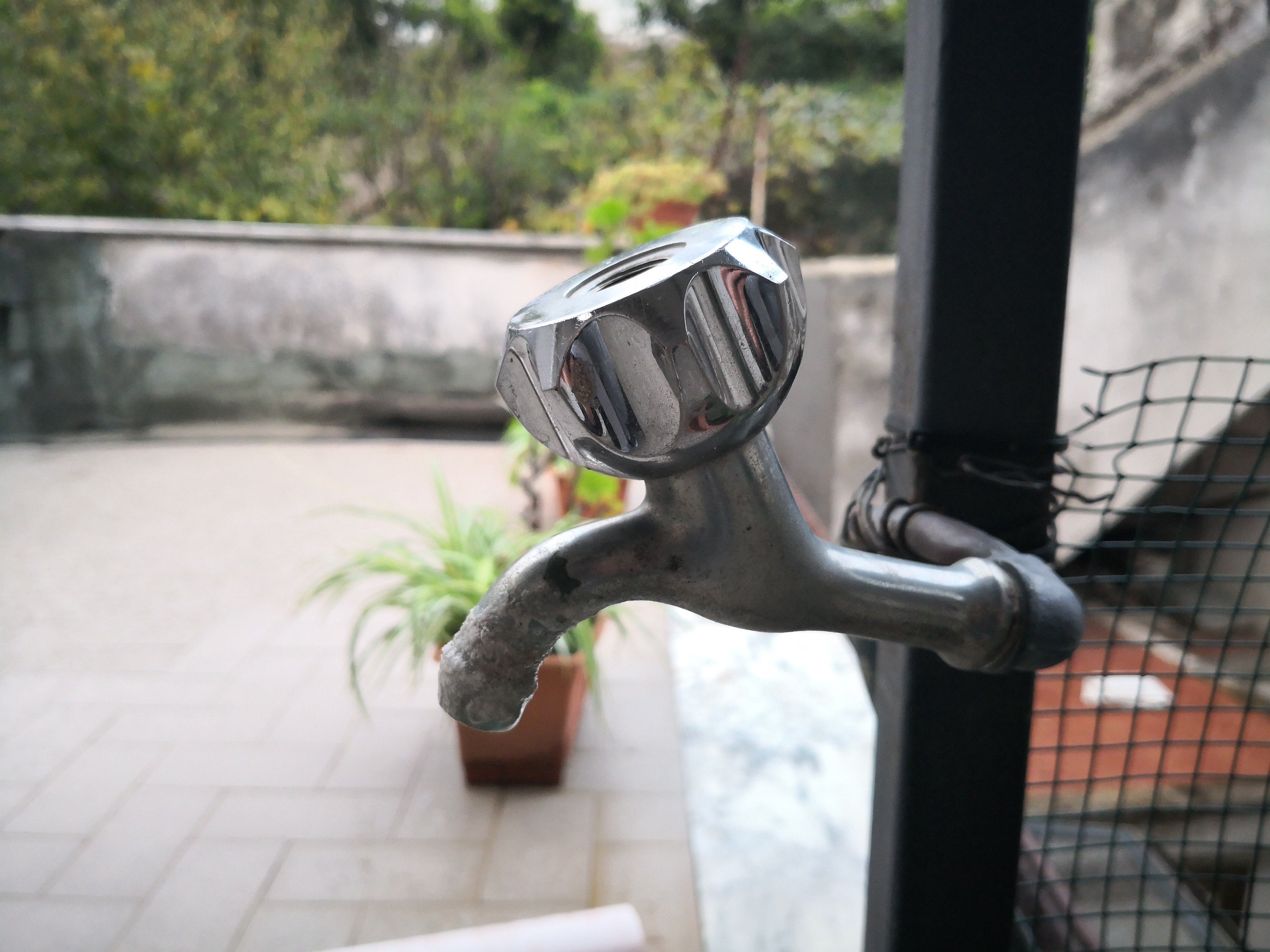 Mate 10 pro sample foto