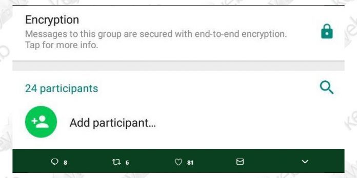 WhatsApp Beta si aggiorna con nuove funzioni per i gruppi