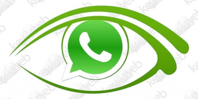 WhatsApp, i destinatari possono ancora leggere i messaggi eliminati
