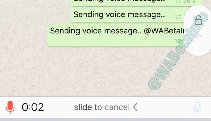 Registrazione audio WhatsApp continuativa