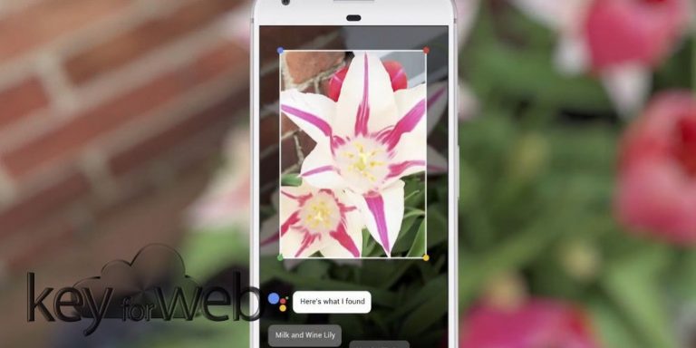 Google Lens sbarca anche su ChromeOS e si migliora
