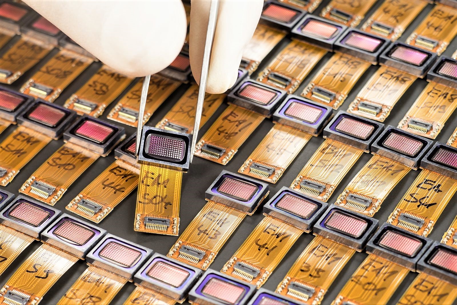 facetvision fotocamera