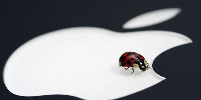 bug Apple