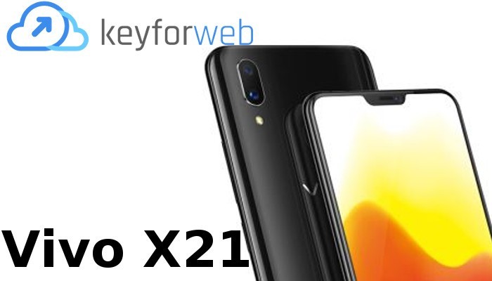 Vivo X21