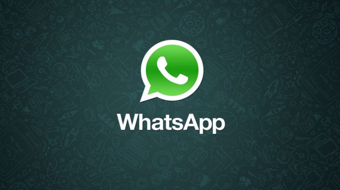 Novità WhatsApp: la versione beta testa il  blocco catene di Sant’Antonio