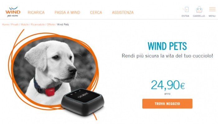 Wind Pets Pack è l’offerta dedicata ai nostri amici a 4 zampe