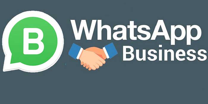 whatapp business