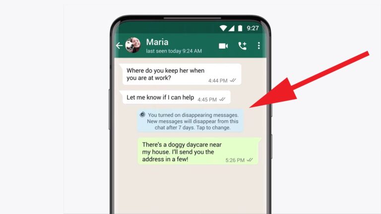 WhatsApp si aggiorna: introdotti i messaggi effimeri